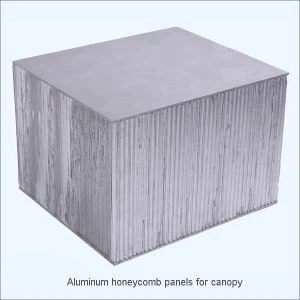 Tấm ốp nhôm tổ ong nóc buồng lái